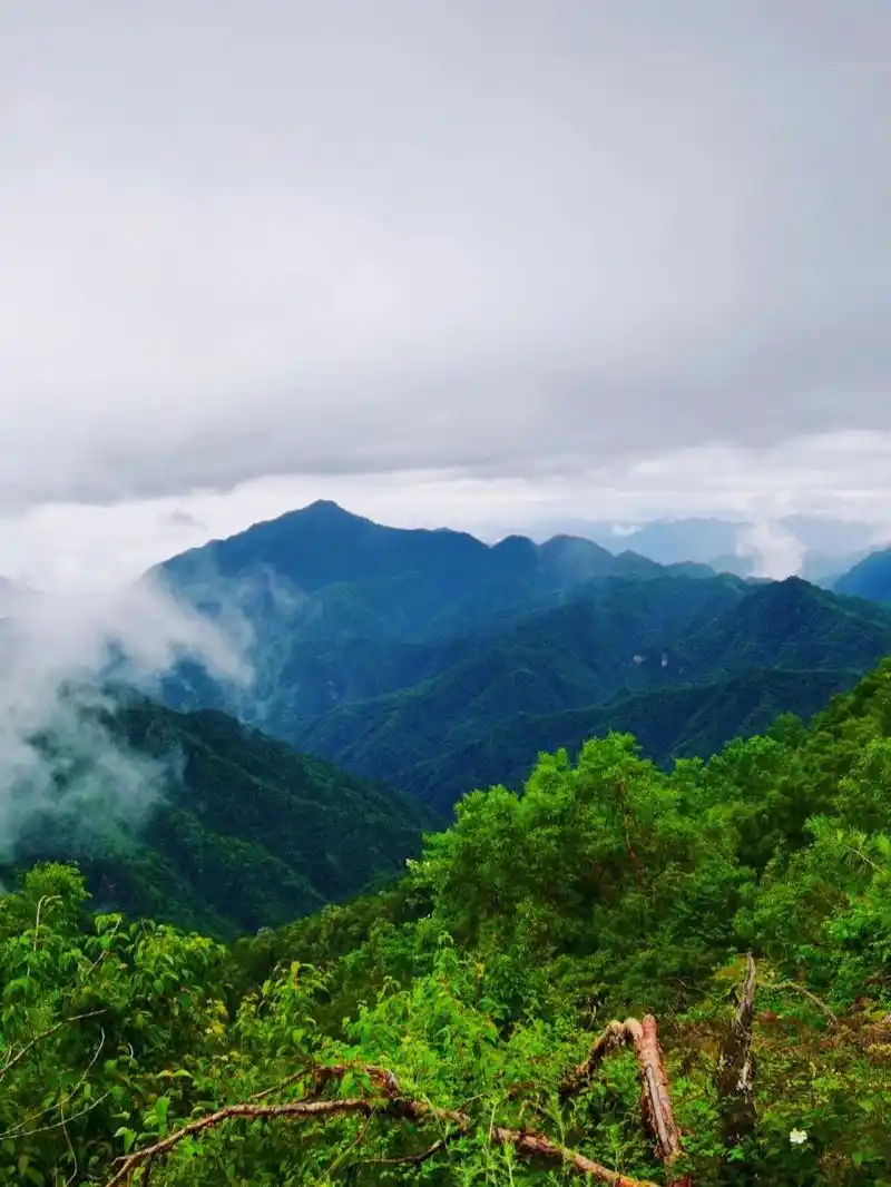 说说我去黄柏塬风景区的真实感受 90景点介绍上周去了最近某音疯狂
