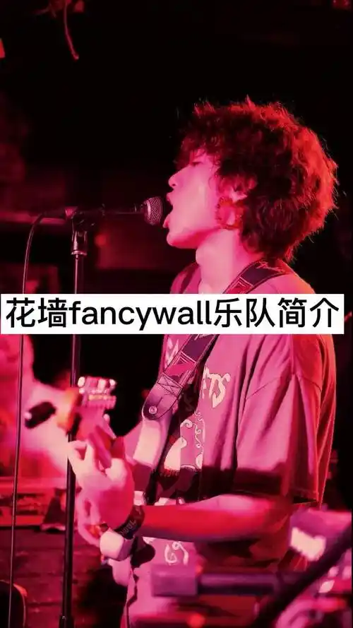 花墙fancywall乐队简介,你明白了吗