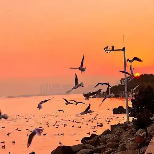 背景图 | 好看微信朋友圈背景图