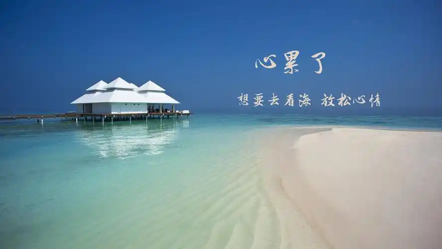 心累了的情感句子图片