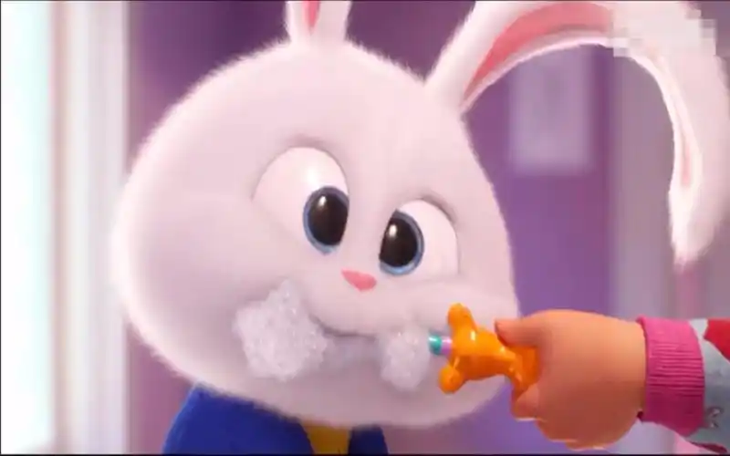 爱宠大机密2预告片你们小白队长又回来了