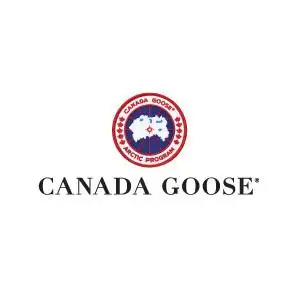 canada goose/加拿大鹅
