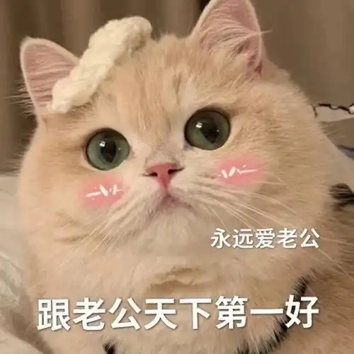 我是老公奴～ 恋爱脑就要跟老公贴贴#表情包  #我最爱的表情包  #表情