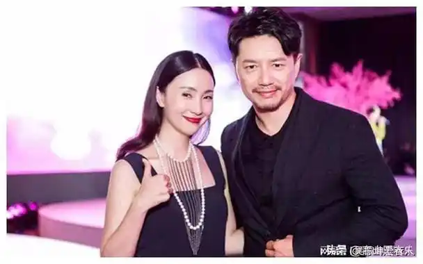 藏了那么多年段奕宏早早娶了日本妻子怪不得能够忘记陶虹