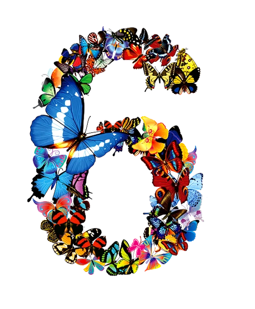 艺术数字创意设计png素材蝴蝶数字6