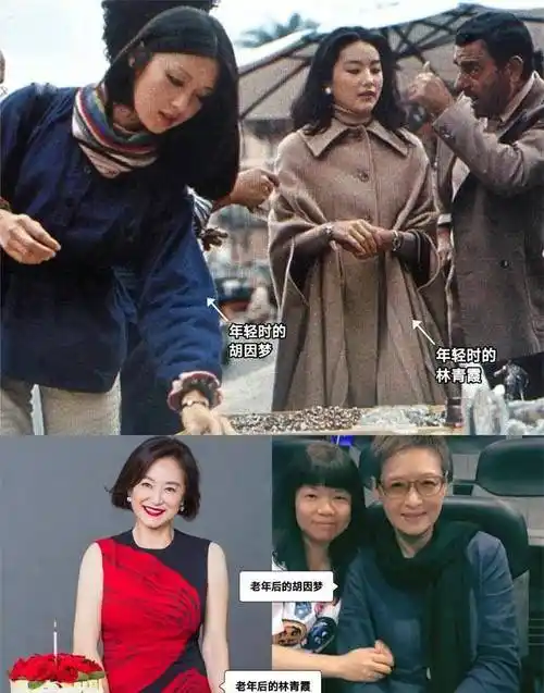 >>昔日与林青霞媲美,老后的风格却截然不同从十八岁到六十多岁,胡因梦