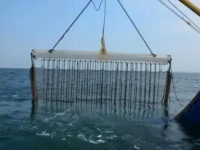 台州一男子捕捞500多公斤海鲜,赔偿超23万元!44倍赔偿!