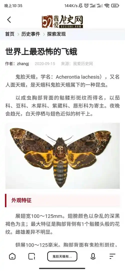 昆虫丨sos救命救救孩子家里飞来鬼面蛾咋办