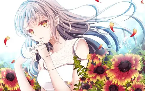 二次元动漫女生图片桌面壁纸