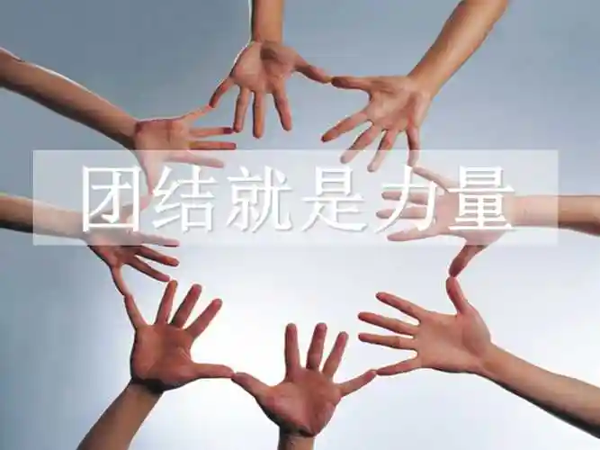团结就是力量课件ppt
