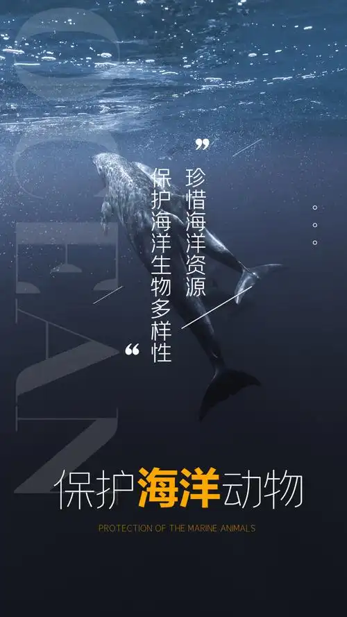 保护海洋生物摄影图海报设计