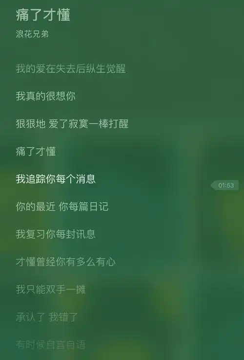 感谢哈瓦那提供的新思路 去看了看浪花兄弟的专辑