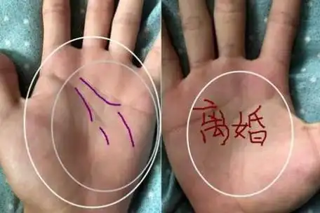 男人注定离婚手纹图解【2023更新】