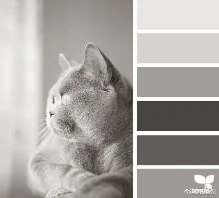 柔和的灰色系配色
