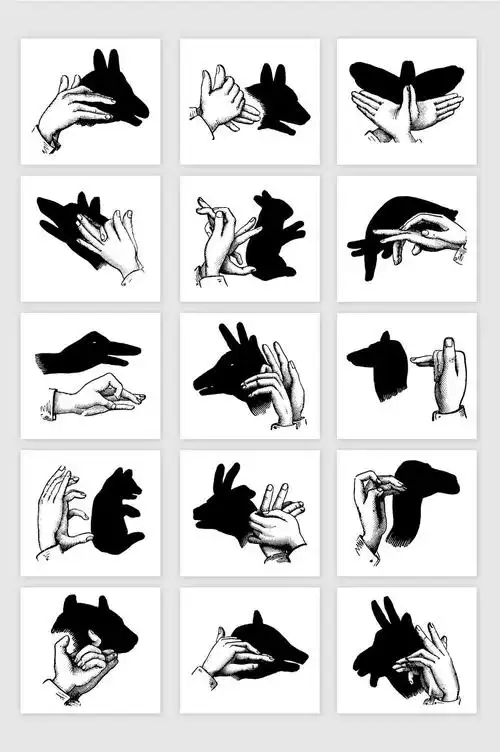 芽芽二班——科学活动《有趣的手影》