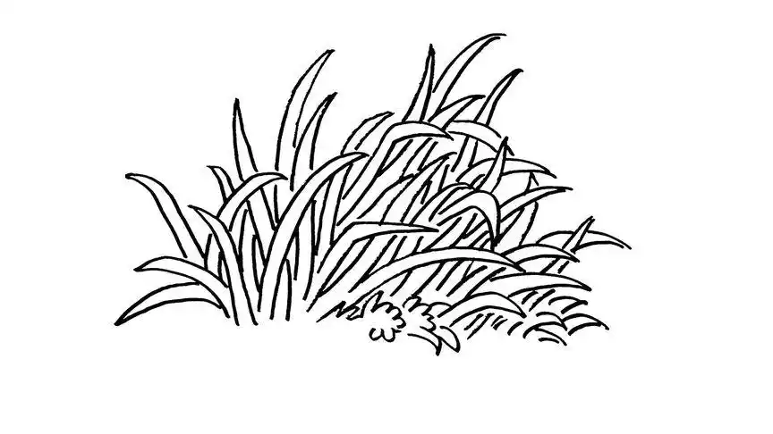 学钢笔画810小草元素