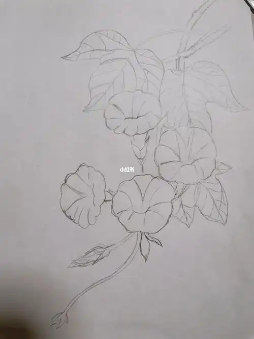 似乎没有之前画得让自己满意