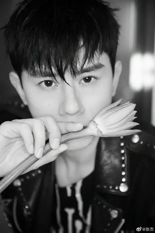 张杰- 堆糖,美图壁纸兴趣社区