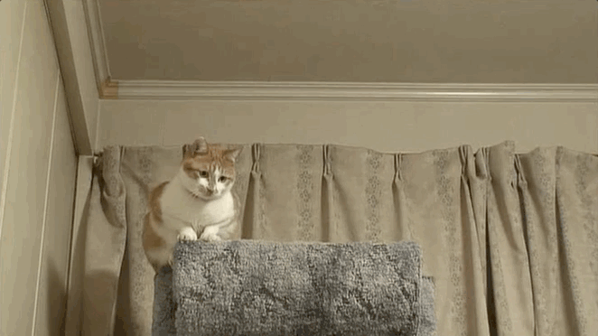 「百团」大战开启!我扑,我扑,我扑扑扑.