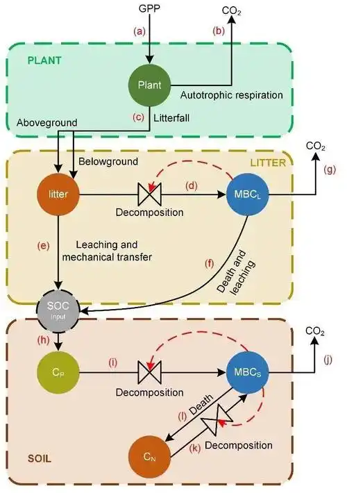 我校科研团队在全球变化背景下碳氮交互作用研究上取得系列新进展