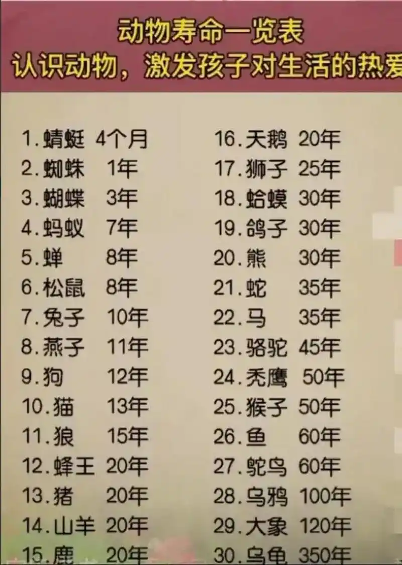 动物寿命一览 蜻蜓,4个月. 蝴蝶,3年. 蚂蚁,7年. 蝉,8年. 兔子,10年.