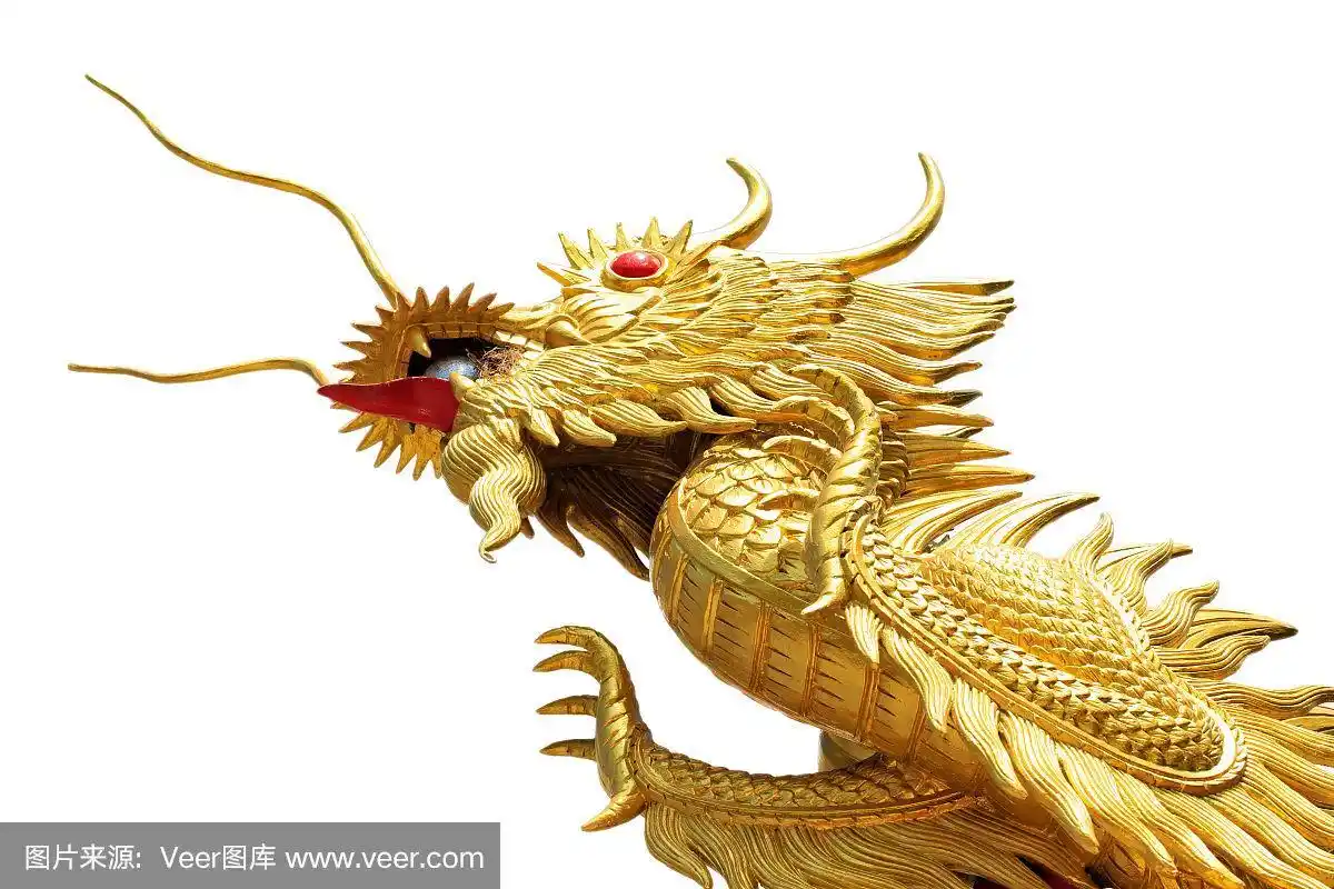 巨大的金色中国龙在孤立的白色背景上