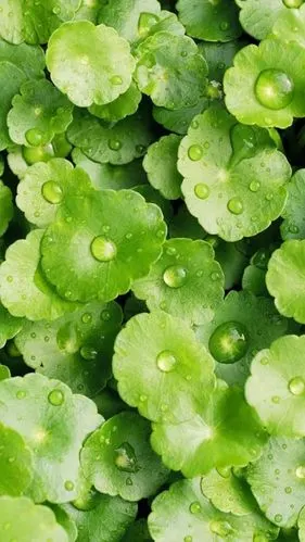 看手机眼睛累教你一招缓解疲劳,玩的都看看!