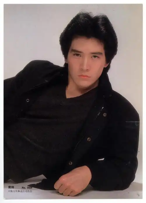 费翔伯伯年轻的时候真的太帅了吧!