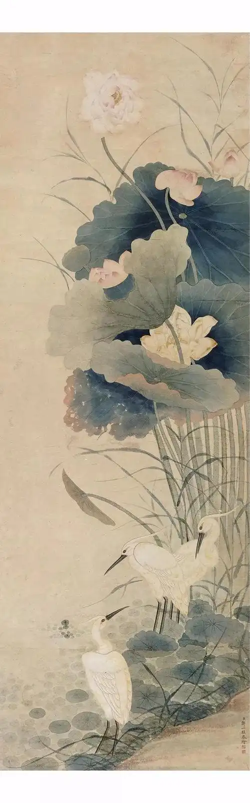 历代画家荷花图_作品