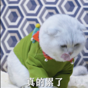 猫星人gif真的累了gif可爱gif搞怪gif逗gif