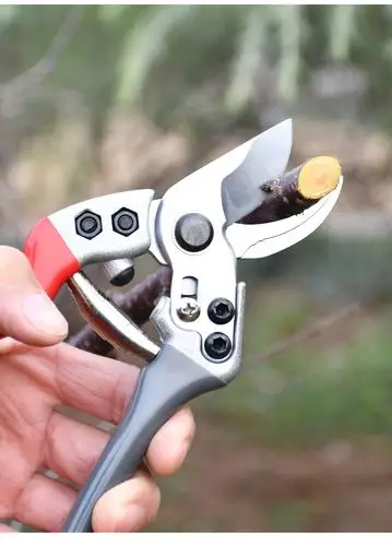 热卖实用款修枝剪黑色*送弹簧 剪刀油【图片 价格 品牌 报价】-京东