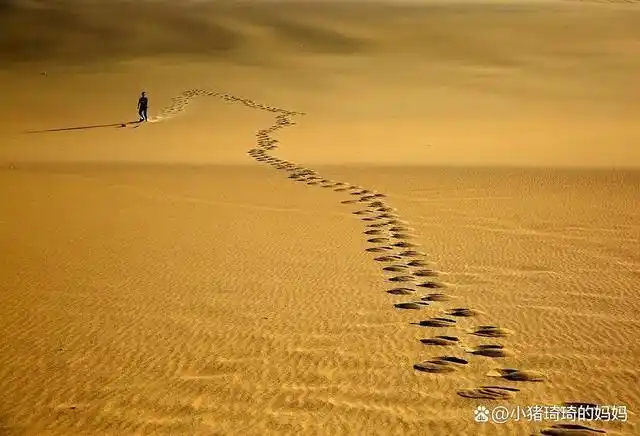 漫漫人生路,走好每一步