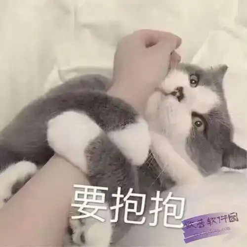 猫咪要抱抱表情包