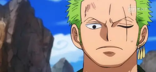 罗罗诺亚.索隆,和之国篇