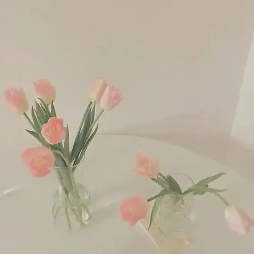 有没有好的微信朋友圈相册封面推荐一下