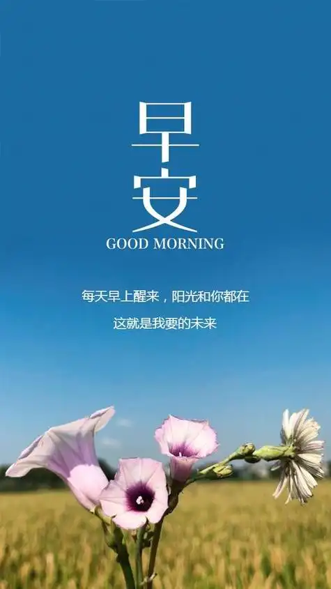 早安暖心话语给女朋友