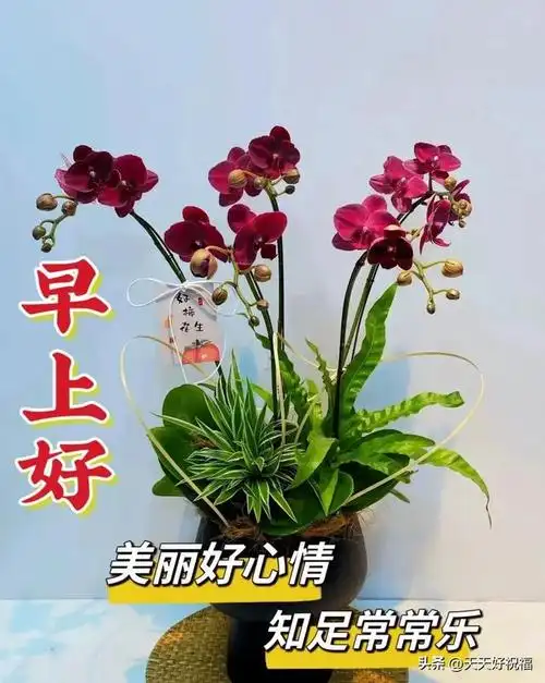 11月22日精选早安暖心祝福图片带字群发温馨的问候祝福语大全