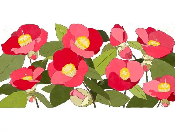 山茶花 - 小小冬 - 原创作品 - 视觉中国(shijueme)