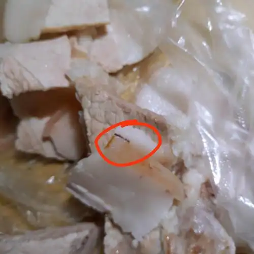 藏在猪皮下面的寄生虫见过吗