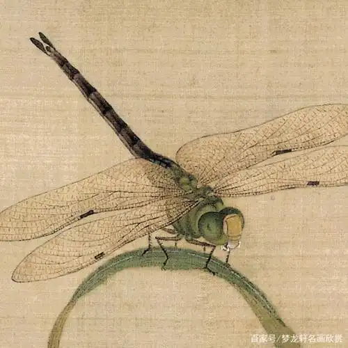 太美了!余稚《花鸟图册》工笔花鸟画高清大图欣赏