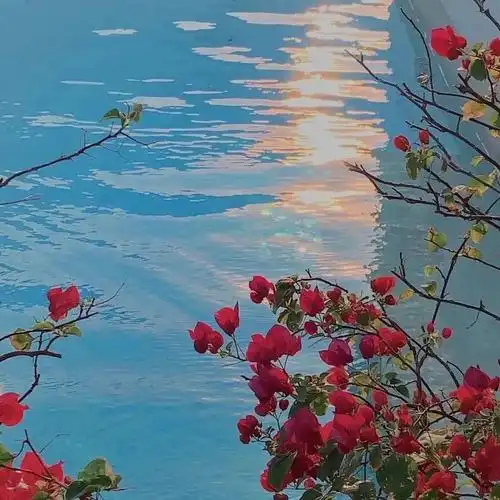 127张逼格超高的朋友圈背景图!