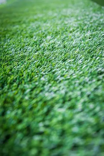 精美草坪草地背景高清图片