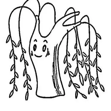 柳树(3)简笔画柳树的画法儿童春天柳树简笔画-美丽的柳树柳树的简笔画