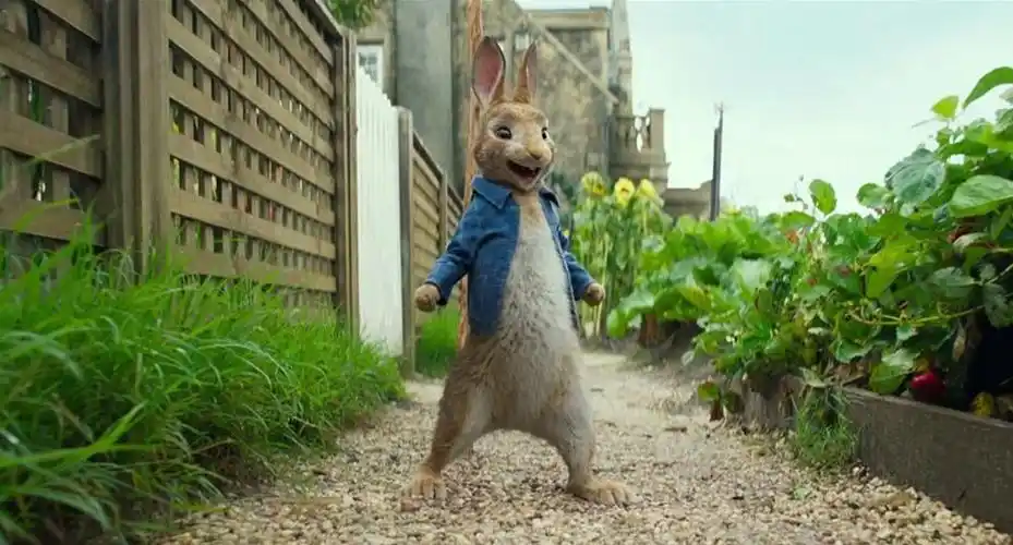 《彼得兔》观后感——披着萌外衣的熊孩子