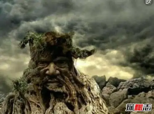 揭秘马达加斯加食人树之谜食人树真实存在吗吞噬人肉