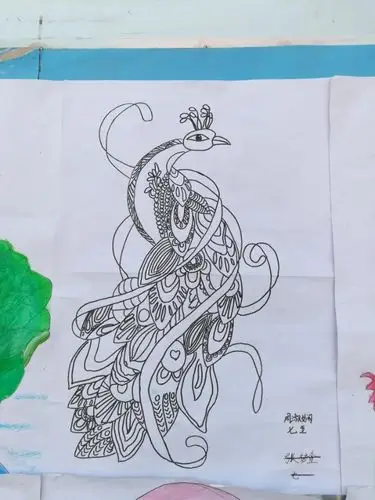 美丽的线描孔雀.画画的同学好有耐心