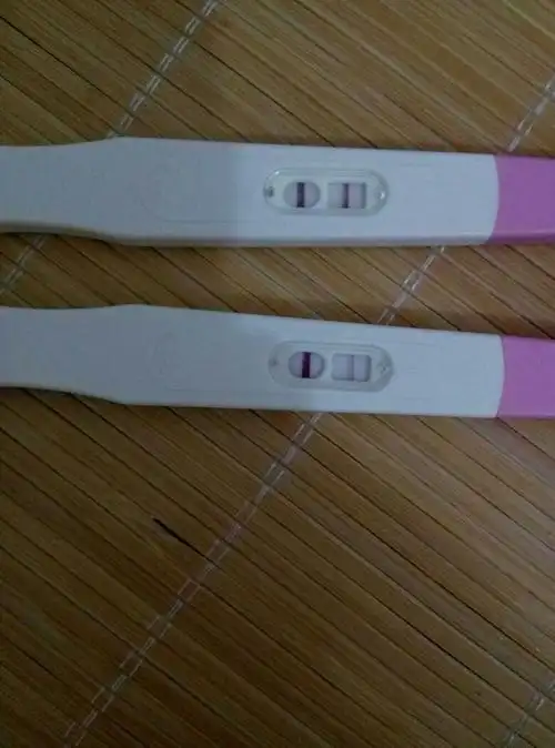 用验孕棒测试怀孕,为什么晨尿比其他时间的尿测出来的颜色更淡呢?