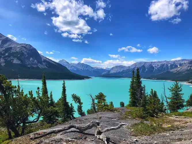 cline river的美好夏天