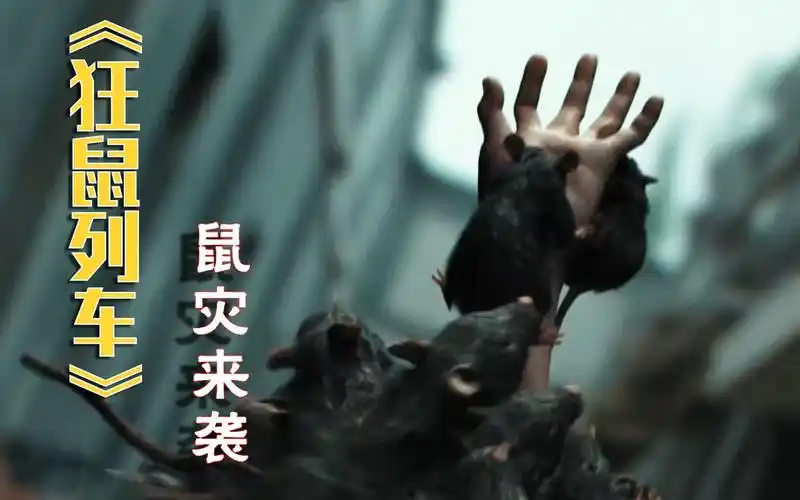 年末灾难片《狂鼠列车》:鼠群攻城略地,所过之处寸草不生