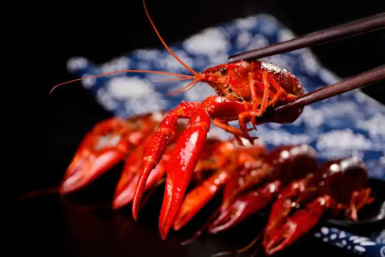 小龙虾飘香季|摄影|产品|zhanjiajia - 原创作品 - 站酷 (zcool)